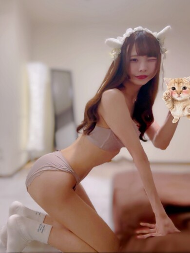 ねこ(23)